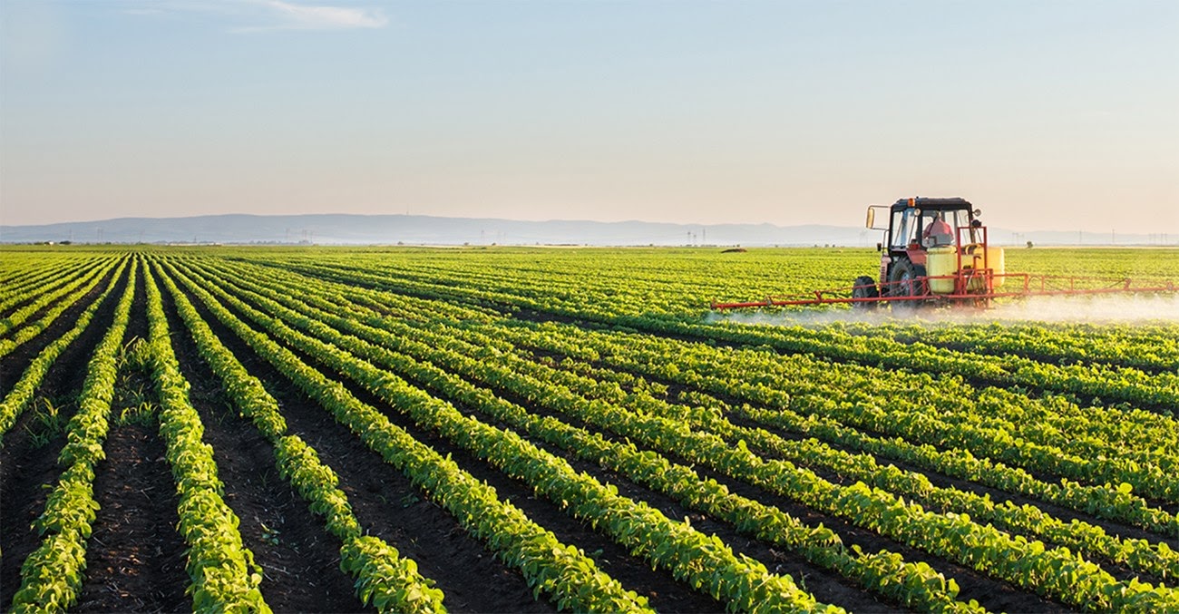 Estudo de Caso: Segurança da Informação na Empresa Agro Z